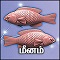 மீனம்
